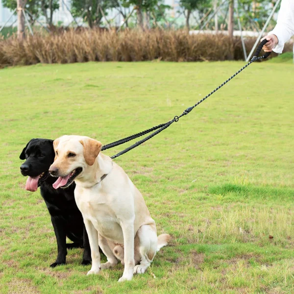 Double Dog Leash Coupler - Walk Two Dogs with Ease - Image 6