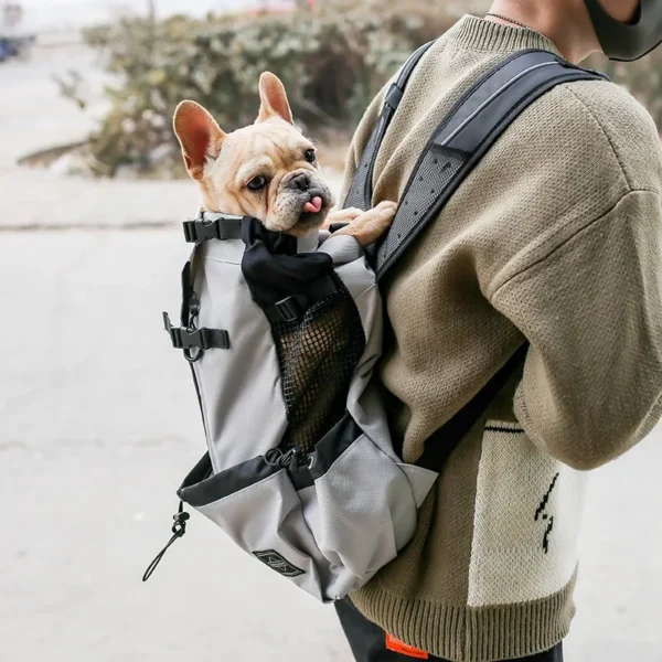 Dog Backpack For French Bulldog Chihuahua Dog Travel Backpack