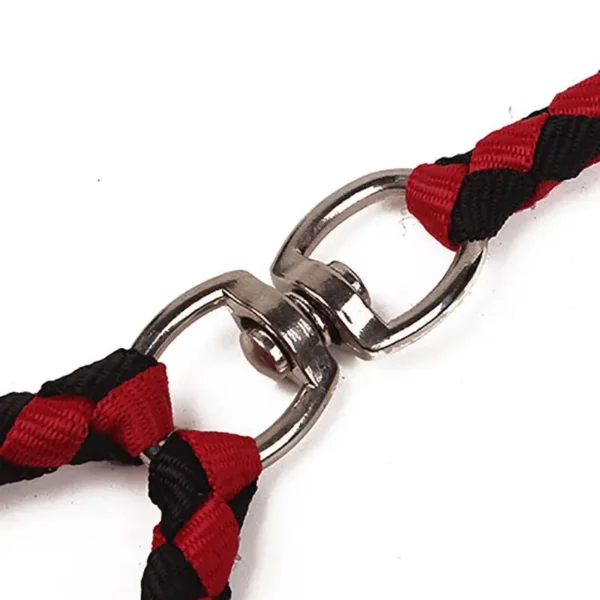 Double Dog Leash For Couplers With Soft Padded Handle - Image 5