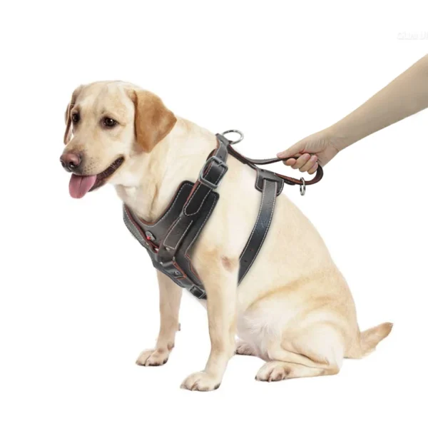 Vest For Dog Training - Genuine Leather Harness with Quick Control Handle for Large Dogs like Labrador and Pitbulls - Image 4