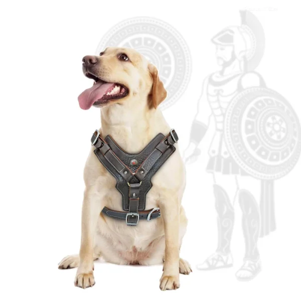 Vest For Dog Training - Genuine Leather Harness with Quick Control Handle for Large Dogs like Labrador and Pitbulls - Image 3