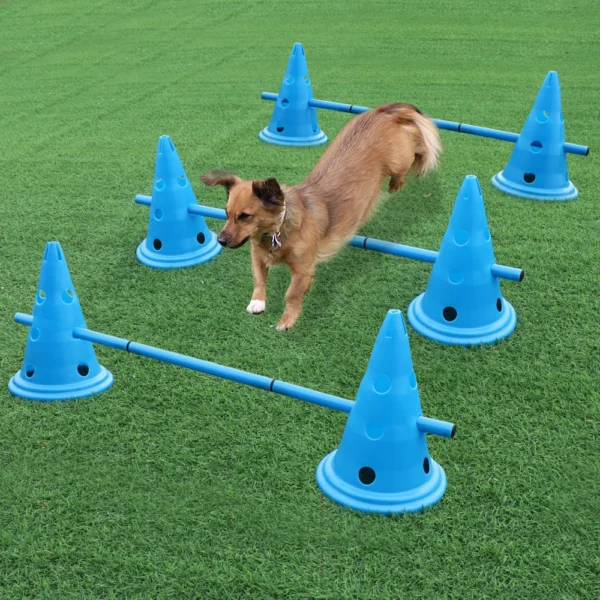 Durable Dogs Running Jumping Stakes Dog Exercise Equipment - Image 6