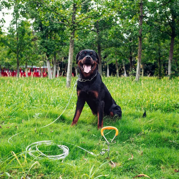 Dog Tie Out Stake For Yard And Outdoor Dog Yard Stake - Image 6