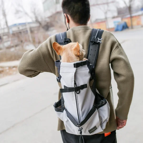 Dog Backpack For French Bulldog Chihuahua Dog Travel Backpack - Image 2