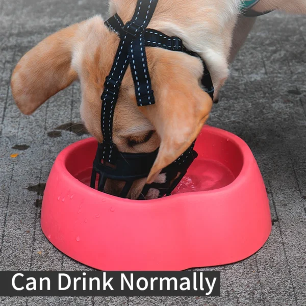 Dog Muzzles That Allow Drinking - Image 3