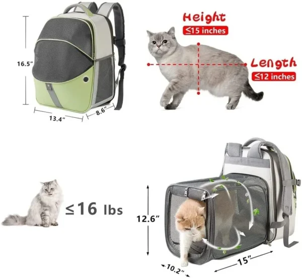 Outdoor Portable Foldable Breathable Cat hiking Backpack - Image 4