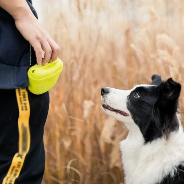 Dog Walking Waist Pack For Dog Treats Food Reward Waist Bags - Image 5