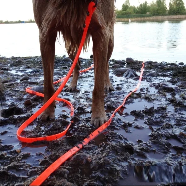 Waterproof PVC Dog Leash - Easy-to-Clean Training and Walking Lead for Small, Medium, and Large Dogs (3m, 5m, 10m, 15m) - Image 3