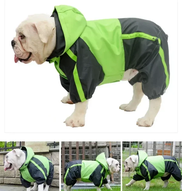 Dog Waterproof Clothing For Bulldog Chihuahua Boxer Terrier Poodle Bichon Green Red Purple Orange - Image 5