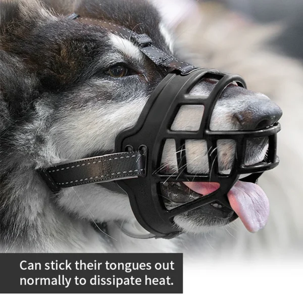 Dog Muzzles That Allow Drinking