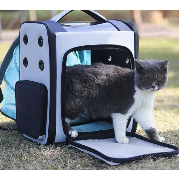 Portable Expended Cat Travel Backpack Gray Green