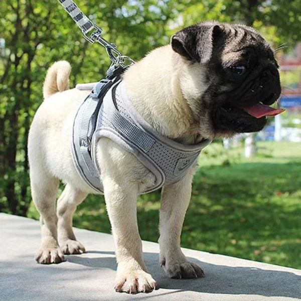 Pet Dog Vest Harness And Leash Set Extra Small |  Cat Vest Harness And Leash Set XS/S/M/L/XL - Image 4