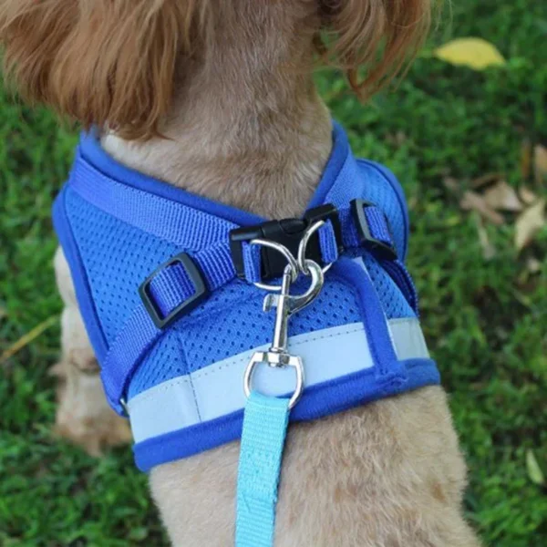 Pet Dog Vest Harness And Leash Set Extra Small |  Cat Vest Harness And Leash Set XS/S/M/L/XL - Image 2