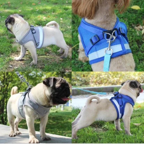 Pet Dog Vest Harness And Leash Set Extra Small |  Cat Vest Harness And Leash Set XS/S/M/L/XL - Image 5