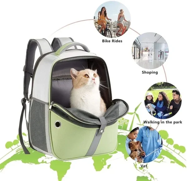 Outdoor Portable Foldable Breathable Cat hiking Backpack