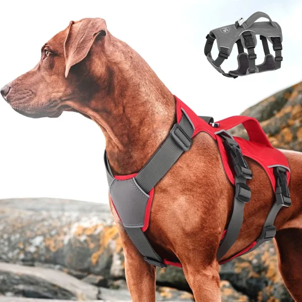 Vest For Dog Training - Adjustable Reflective Waterproof Dog Harness with Handle for Small, Medium, Large, and Big Dogs - No-Pull Pet Walking and Training Gear - Image 2