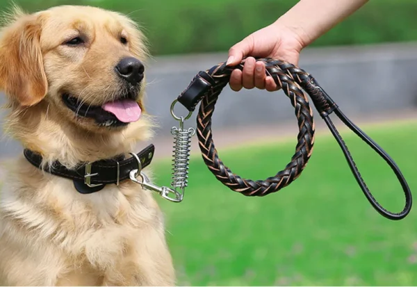 Durable Braided Leather Dog Leash for Large Breeds - Ideal Training Lead for Shepherds, Bulldogs, Labradors & Golden Retrievers