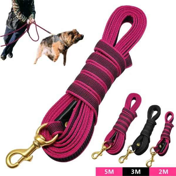 Heavy Duty Non-Slip Nylon Long Dog Tracking Leash – 2m, 3m, 5m Training Leads for Medium & Large Dogs