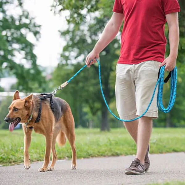 Durable Nylon Reflective Dog Leash with Handle – 3M to 15M Lead Rope for Small & Large Dogs, Ideal for Pugs – Blue - Image 5