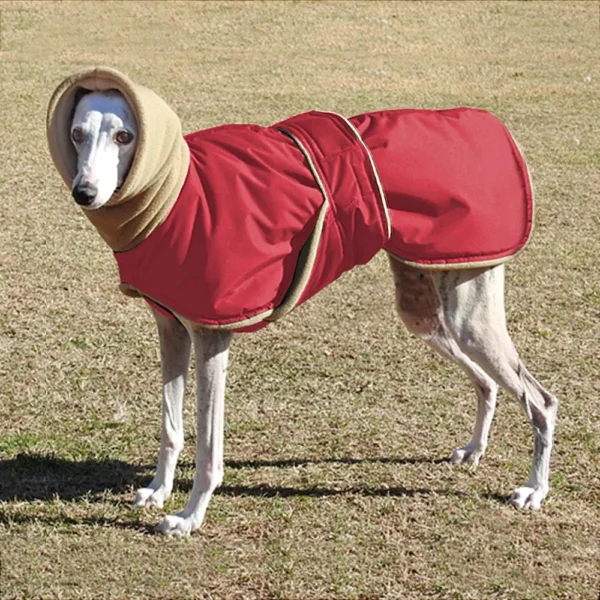 Waterproof Thick Dog Jacket – Super Warm Coat for Medium & Large Breeds Like Greyhounds, Wolfhounds, and Shepherds