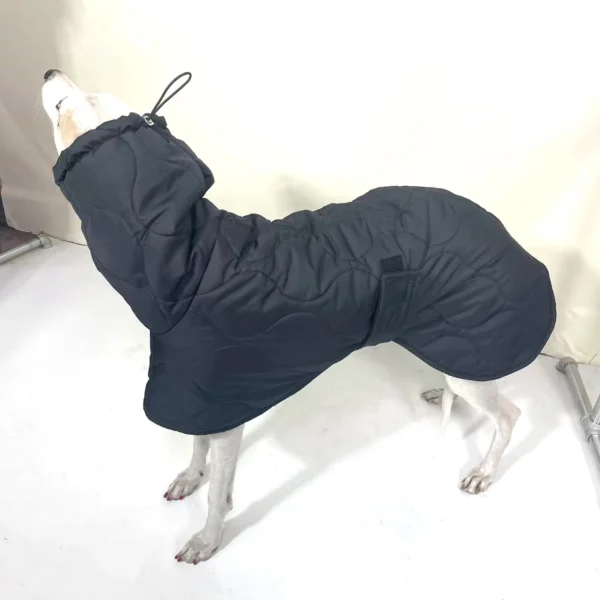 Adjustable Black Quilted Winter Dog Coat with Turtle Collar – Warm Cotton Jacket for Italian Greyhounds & Whippets - Image 3