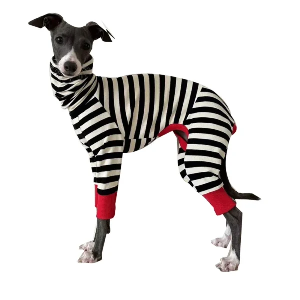 Striped Four-Legged Winter Clothing for Italian Greyhounds – Soft and Stretchy Whippet Apparel - Image 4