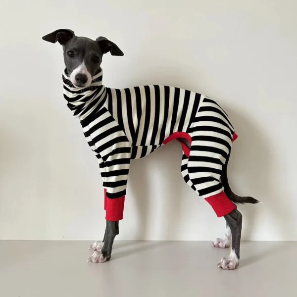 Striped Four-Legged Winter Clothing for Italian Greyhounds – Soft and Stretchy Whippet Apparel - Image 2