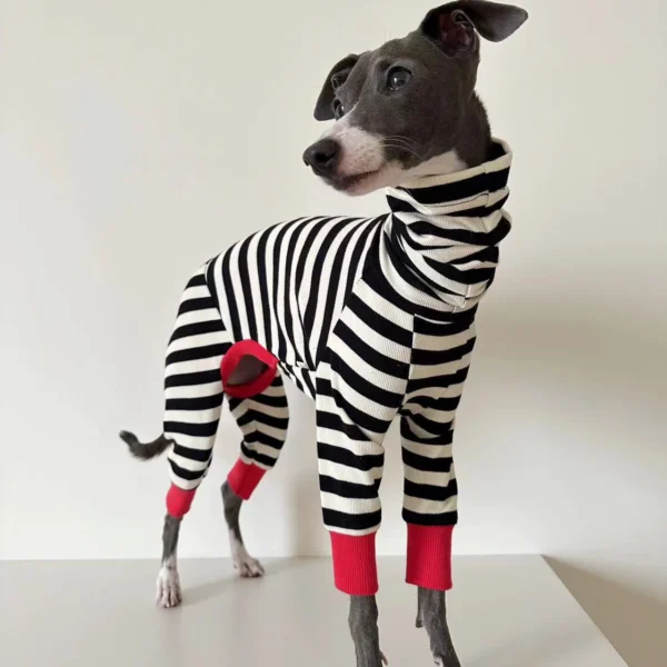 Striped Four-Legged Winter Clothing for Italian Greyhounds – Soft and Stretchy Whippet Apparel - Image 3