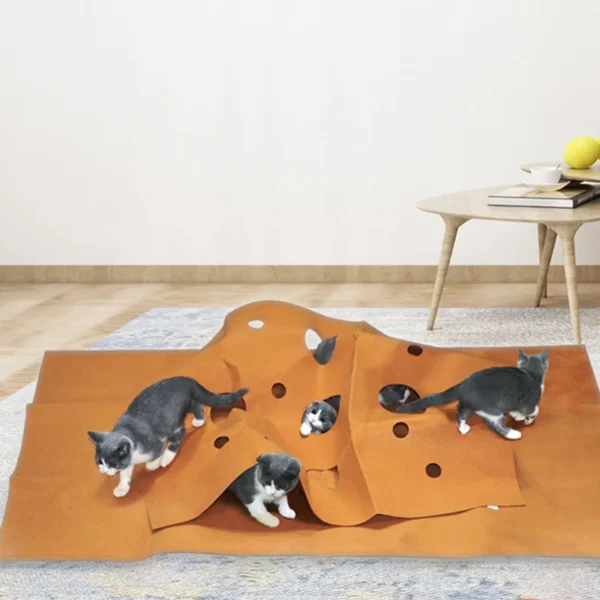 Cat Tunnel Agility Training Set – Interactive Maze Toys & Felt Cushion for Kittens | Indoor Play & Bite Pad Pet Supplies