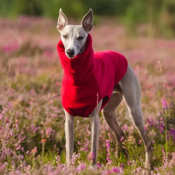 Cozy Winter Fleece Vest for Italian Greyhounds - Turtleneck Dog Apparel for Whippets - Image 2