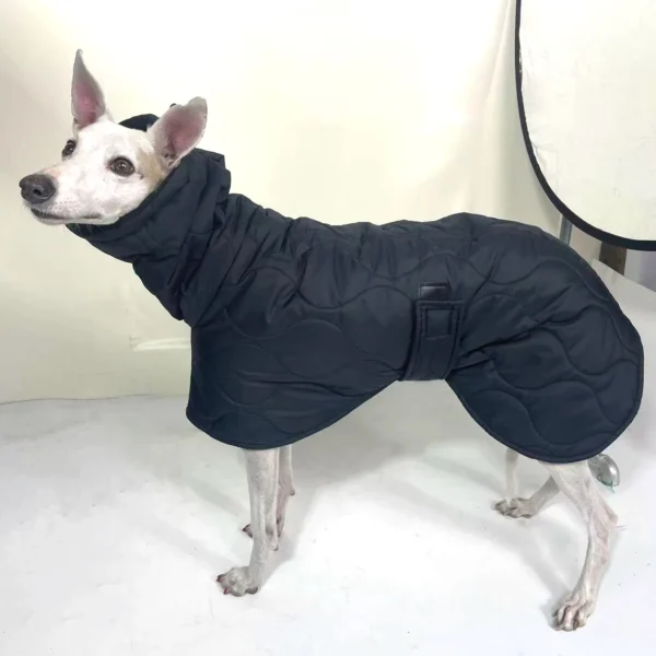 Adjustable Black Quilted Winter Dog Coat with Turtle Collar – Warm Cotton Jacket for Italian Greyhounds & Whippets