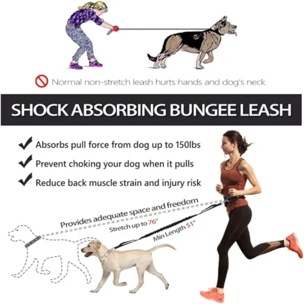 Hands-Free Dog Leash for Running, Walking, Hiking & Training – Reflective Bungee, Adjustable Waist Belt, Double Handle, Shock Absorption - Image 2