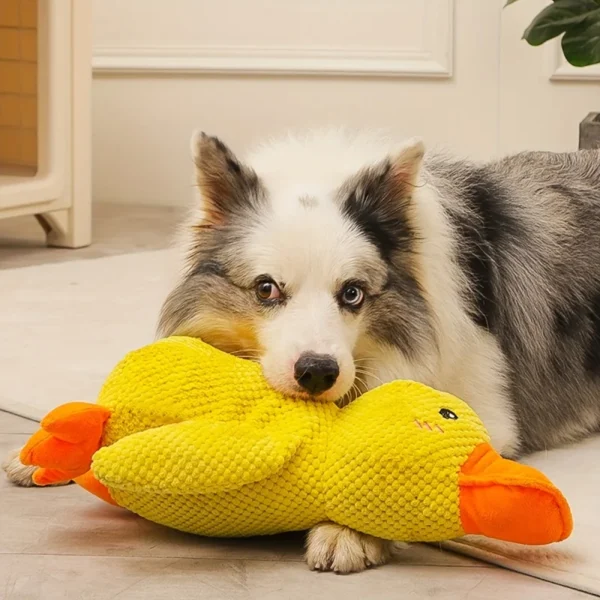 Durable Duck-Shaped Squeaky Plush Dog Toy – Interactive Chew Toy for Teeth Cleaning and Playtime Fun - Image 2