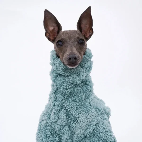 Winter Dog Clothes: Warm Polar Fleece Turtleneck for Italian Greyhounds, Whippets, and Lingtons