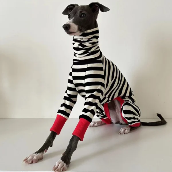 Striped Four-Legged Winter Clothing for Italian Greyhounds – Soft and Stretchy Whippet Apparel