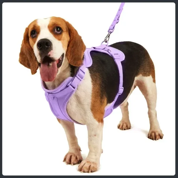 4-Piece Dog Walking Set: Anti-Bite Chest Harness, Traction Rope, Collar & Waste Bags Box - Image 3