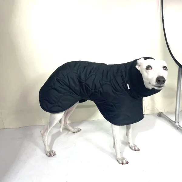 Adjustable Black Quilted Winter Dog Coat with Turtle Collar – Warm Cotton Jacket for Italian Greyhounds & Whippets - Image 2